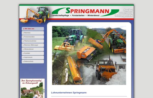Vorschau von www.lohnunternehmen-springmann.de, Martin Springmann