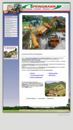 Vorschau der mobilen Webseite www.lohnunternehmen-springmann.de, Martin Springmann