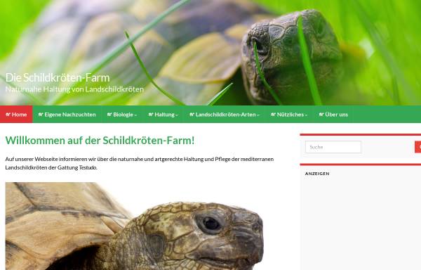 Vorschau von www.mediterrane-landschildkroeten.de, Mediterrane Landschildkröten