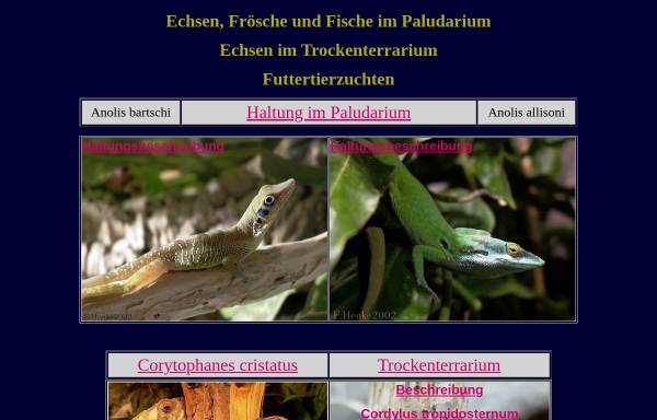 Vorschau von schrubbi.de, Echsen, Frösche und Fische im Paludarium