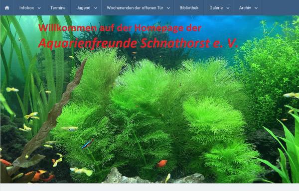 Vorschau von www.aquarienfreunde-schnathorst.info, Aquarienfreunde Schnathorst e.V.