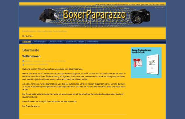 Vorschau von www.boxerpaparazzo.de, BoxerPaparazzo