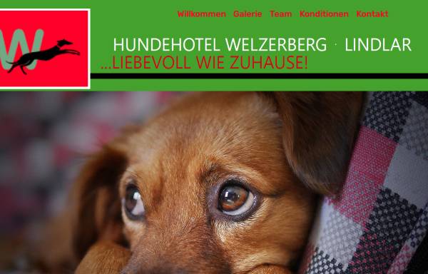 Vorschau von www.hundehotel-welzerberg.de, Hundehotel Welzerberg