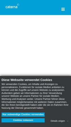 Vorschau der mobilen Webseite www.caterna.de, Caterna Sehschule