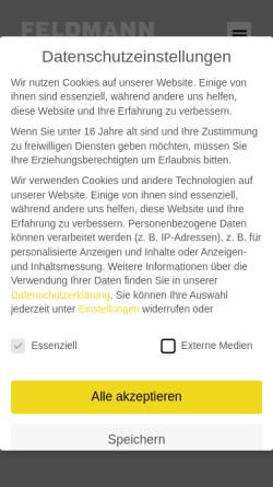 Vorschau der mobilen Webseite www.feldmann-kran.ch, Feldmann Pneukran + Transport AG