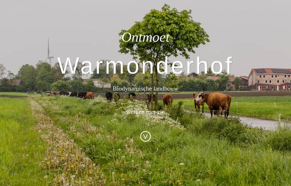 Vorschau von www.warmonderhof.nl, Warmonderhof