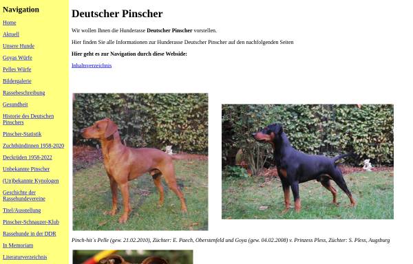 Wallenfels-Pinscher