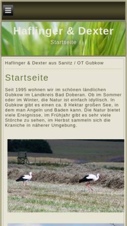 Vorschau der mobilen Webseite www.haflinger-dexter.de, Haflinger und Dexter Zucht - Karen Grot