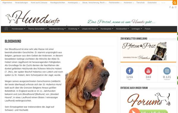 Vorschau von www.mantrailing-bloodhound.de, Mantrailing Bloodhound