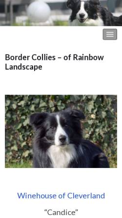 Of Rainbow Landscape