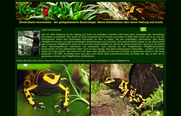 Vorschau von www.kreybo.com, Dendrobates leucomelas - der gelbgebänderte Pfeilgiftfrosch. Meine Erkenntnisse über deren Haltung und Zucht.
