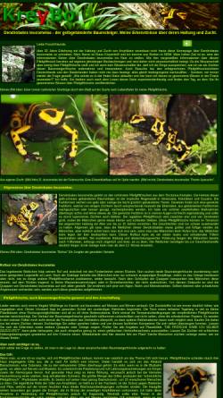 Vorschau der mobilen Webseite www.kreybo.com, Dendrobates leucomelas - der gelbgebänderte Pfeilgiftfrosch. Meine Erkenntnisse über deren Haltung und Zucht.