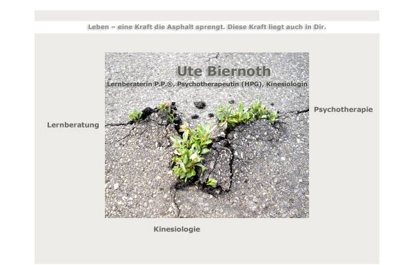 Vorschau von www.kinesiologie-und-lernen.de, Ute Biernoth