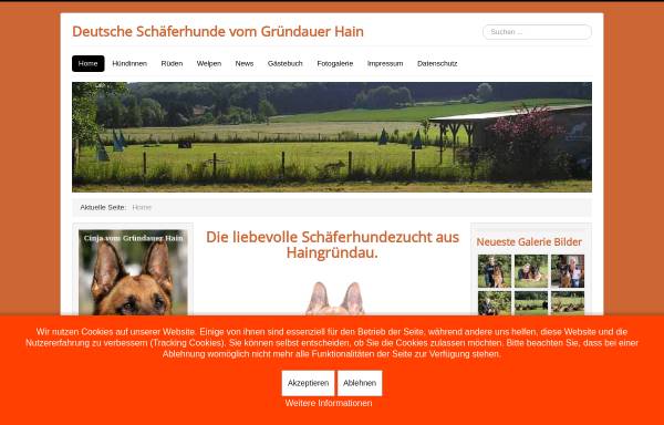 Vorschau von www.vom-gruendauer-hain.de, Bruno Heiss Deutsche Schäferhundzucht vom Gründauer Hain