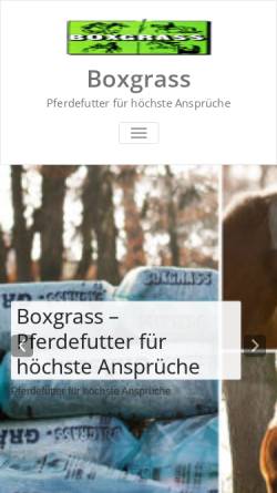 Boxgrass