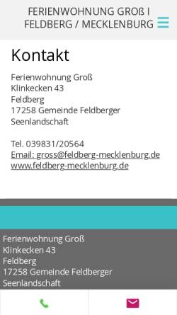 Vorschau der mobilen Webseite www.feldberg-mecklenburg.de, Feldberg