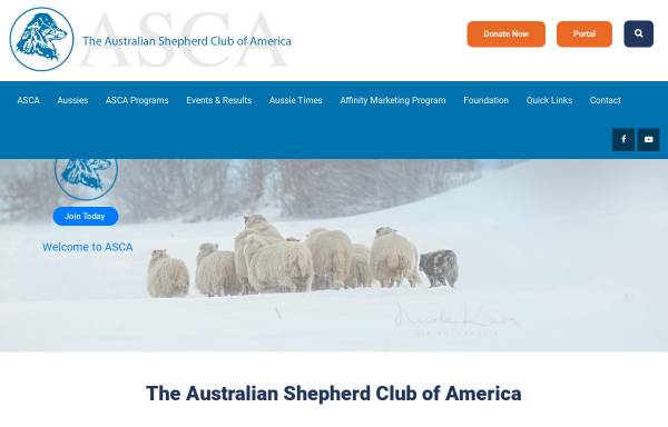 Vorschau von www.asca.org, ASCA - Australian Shepherd Club of America