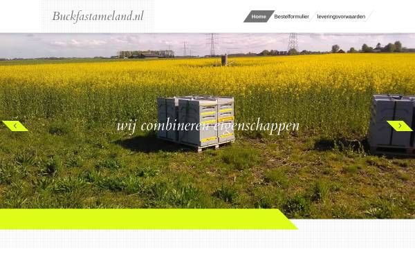 Buckfast Teelstation Ameland