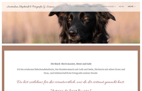 Vorschau von www.black-birch-aussies.de, Black Birch Aussies