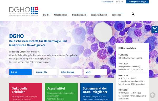 Vorschau von www.dgho.de, DGHO - Deutsche Gesellschaft für Hämatologie und Onkologie e.V.