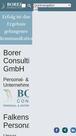 Vorschau der mobilen Webseite www.borerconsulting.ch, Borer Consulting GmbH