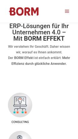 Vorschau der mobilen Webseite www.borm-informatik.de, Borm Informatik GmbH Nord