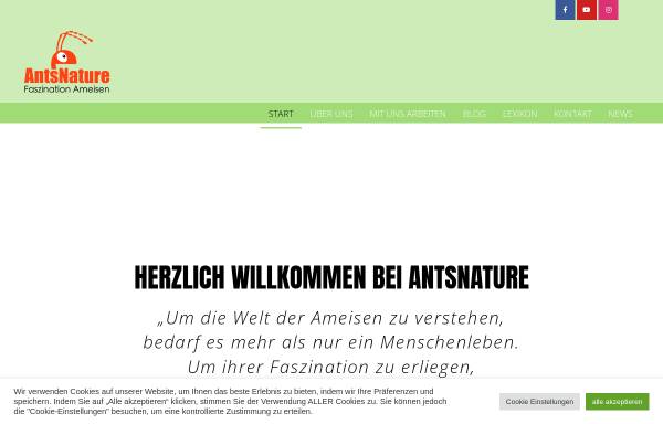 Vorschau von antsnature.de, AntsNature - Fachhandel für Ameisen und Zubehör