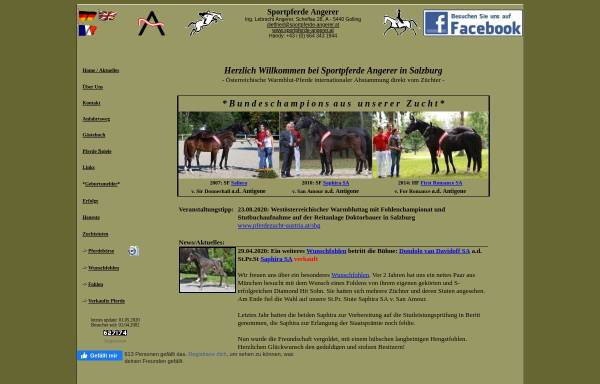 Vorschau von www.sportpferde-angerer.at, Sportpferde Angerer - wir zuechten ihren Traum auf 4 Hufen