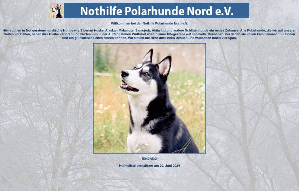 Vorschau von www.nothilfe-polarhunde.com, Nothilfe Polarhunde Nord