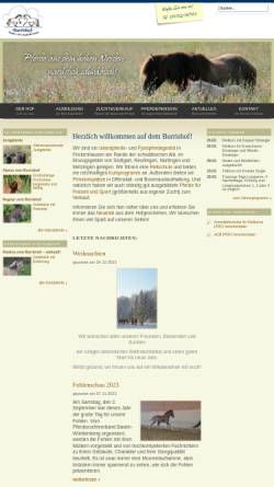 Vorschau der mobilen Webseite www.burrishof.de, Burrishof - Islandpferde und Fjordpferde