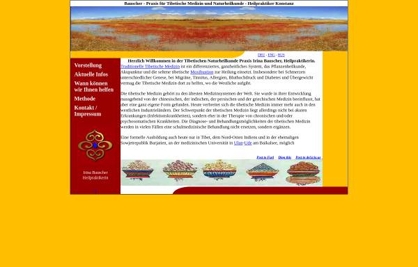 Vorschau von bauscher.org, Bauscher - Praxis für Tibetische Naturheilkunde - Konstanz
