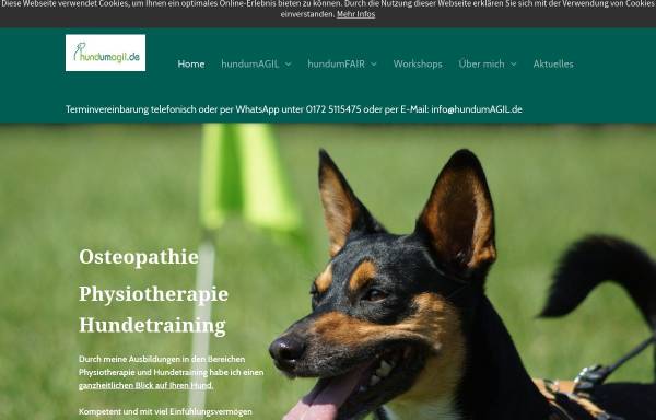 fit-auf-4-pfoten.de - Hundephysiotherapie im Kreis Augsburg