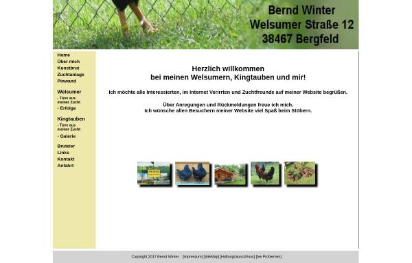 Vorschau von cgi.welsumer.com, Bernd Winter - Welsumer und Kingtauben