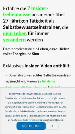 Vorschau der mobilen Webseite www.intsel.de, Matthias Schwehm Persönlichkeitstraining - Selbstbewusstseinstraining IntSel®