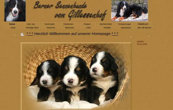 Vorschau von www.berner-vom-gillessenhof.de, Gillessenhof, seit 1994 liebevolle Aufzucht