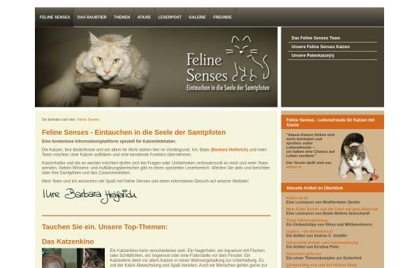 Vorschau von www.feline-senses.de, Feline Senses
