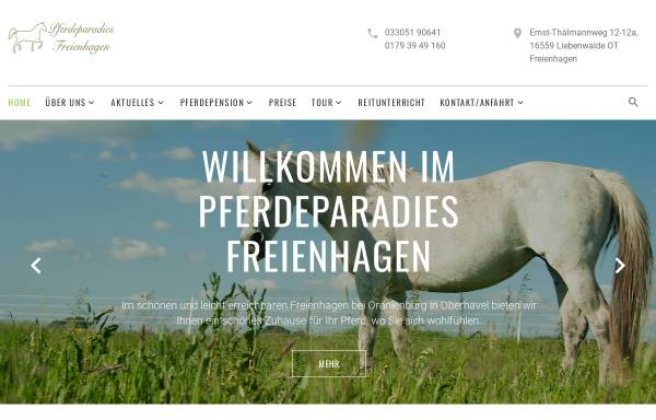 Vorschau von www.pferdeparadies-freienhagen.de, Pferdeparadies Freienhagen