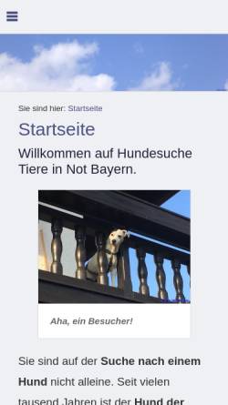 Vorschau der mobilen Webseite www.tiere-in-not-bayern.de, Hundesuche Tiere in Not Bayern (München)