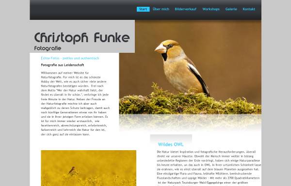 Vorschau von www.christoph-funke.de, Funke, Christoph - Sachverständigenbüro für Klebtechnik