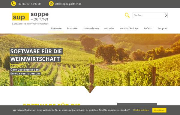 Vorschau von www.soppe-partner.de, APyS - Software für den Mittelstand