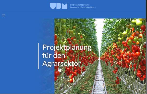 Vorschau von ubm.md, UBM Unternehmensberatung Management GmbH Magdeburg