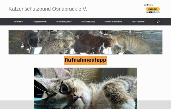 Vorschau von www.katzenschutzbund.com, Katzenschutzbund Osnabrück