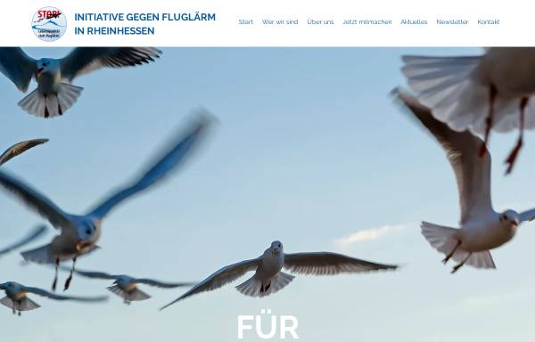 Vorschau von www.fluglaerm-rheinhessen.de, Initiative gegen Fluglärm in Rheinhessen e.V.