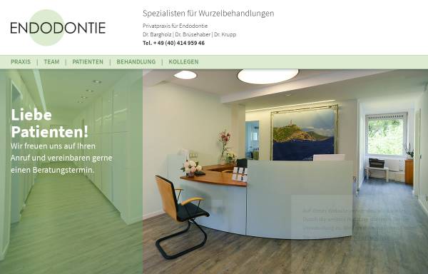 Vorschau von www.endodontie.de, Bargholz, Dr. Clemens