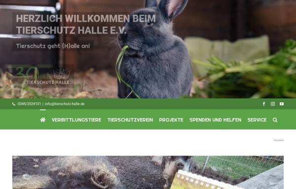 Vorschau von www.tierschutz-halle.de, Tierschutz Halle e.V.