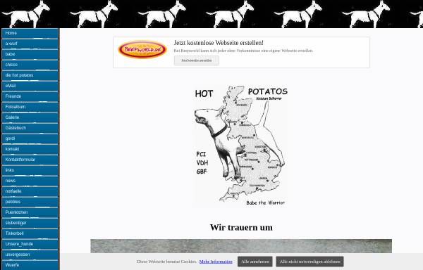 Hot Potatos Miniature Bullterrier