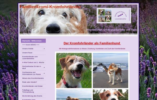 Vorschau von www.familienkromi-kromfohrlaender.de, Der Kromfohrländer als Familienhund