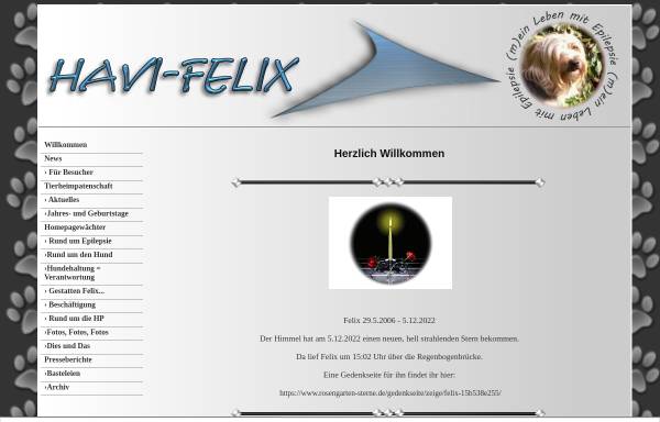 Vorschau von havi-felix.hpage.com, Havi Felix (m)ein Leben mit Epilepsie