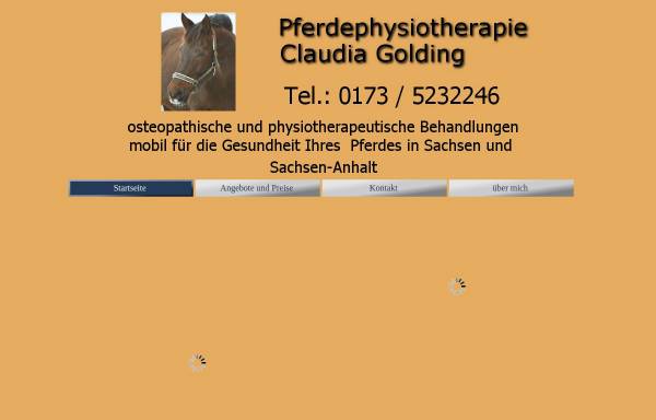 Vorschau von pferdephysio-golding.de, Pferdephysiotherapie Golding
