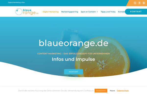 Vorschau von www.blaueorange.de, Blaue Orange, Fabienne Petry